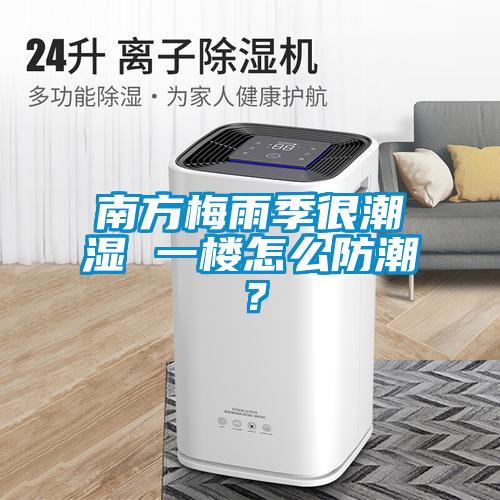 南方梅雨季很潮湿 一楼怎么防潮？