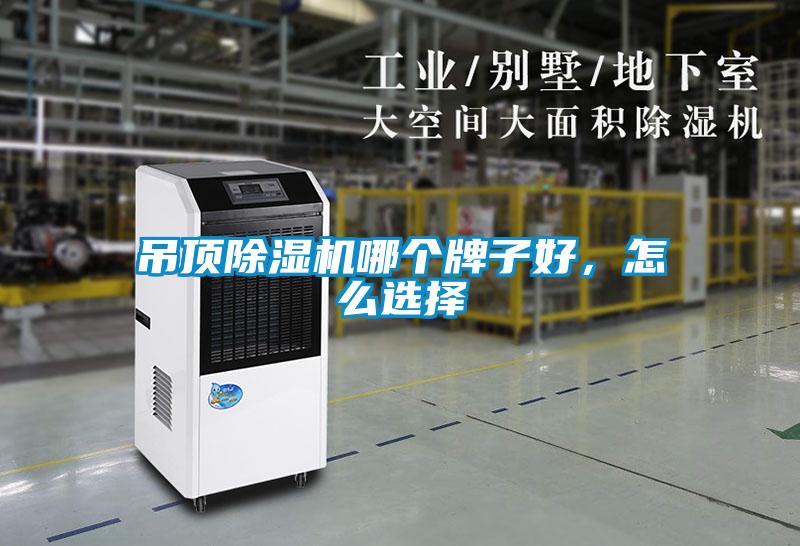 吊顶除湿机哪个牌子好，怎么选择