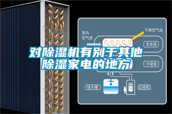 对除湿机有别于其他除湿家电的地方