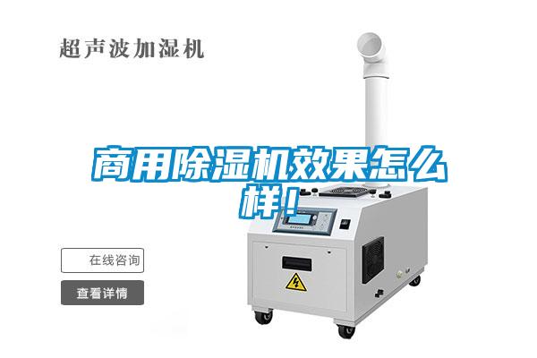 商用除湿机效果怎么样！
