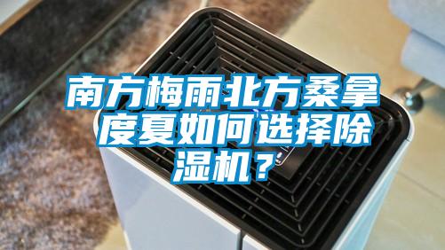 南方梅雨北方桑拿 度夏如何选择除湿机？
