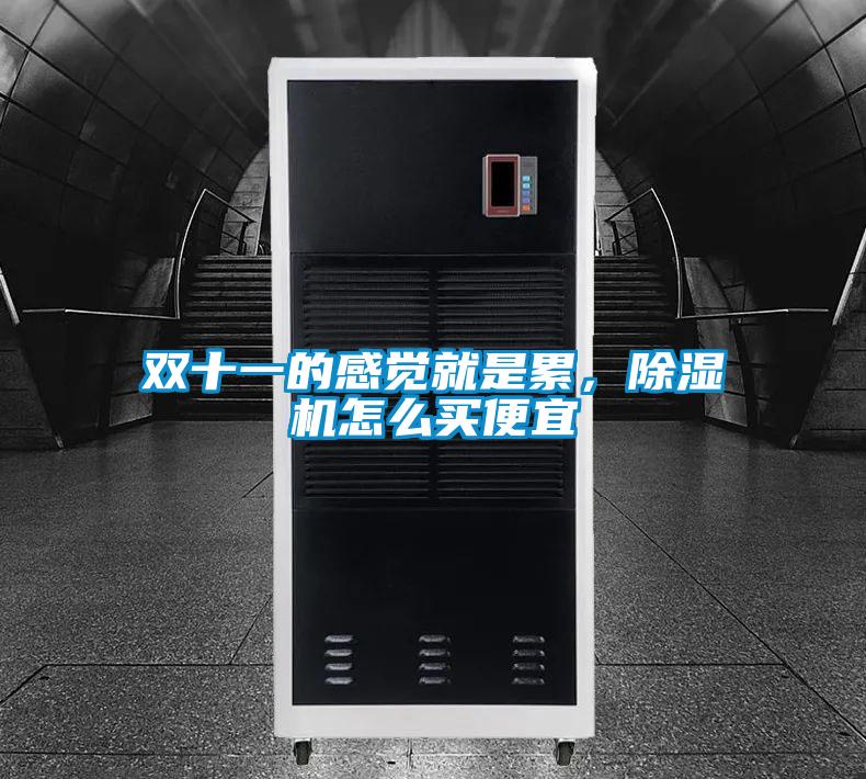 双十一的感觉就是累，除湿机怎么买便宜