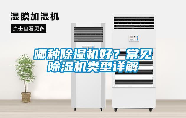 哪种除湿机好？常见除湿机类型详解