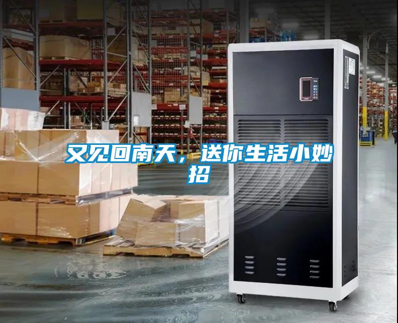 又见回南天，送你生活小妙招