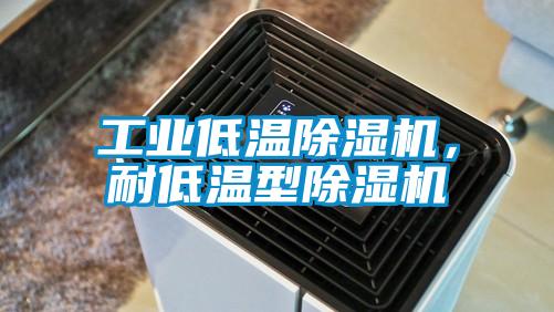 工业低温除湿机，耐低温型除湿机