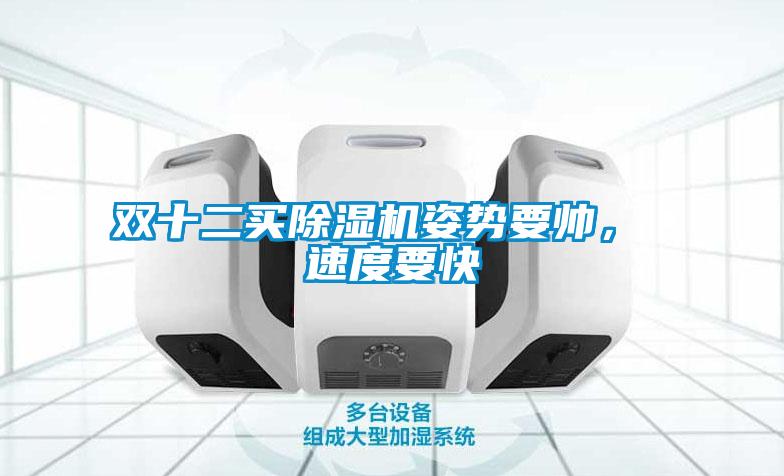 双十二买除湿机姿势要帅， 速度要快