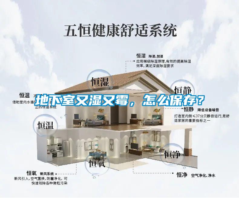 地下室又湿又霉，怎么保存？