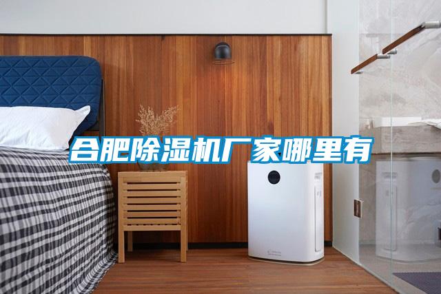 合肥除湿机厂家哪里有