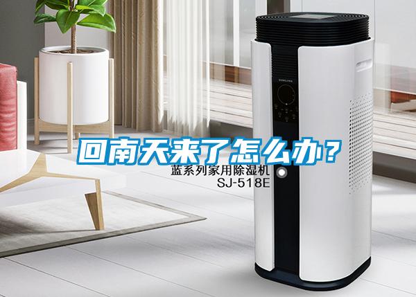 回南天来了怎么办？