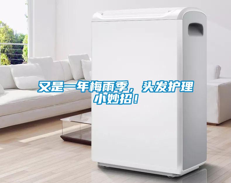 又是一年梅雨季，头发护理小妙招！
