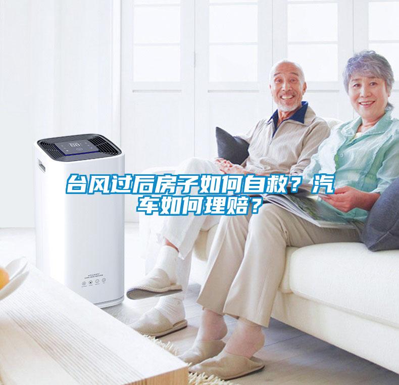 台风过后房子如何自救？汽车如何理赔？