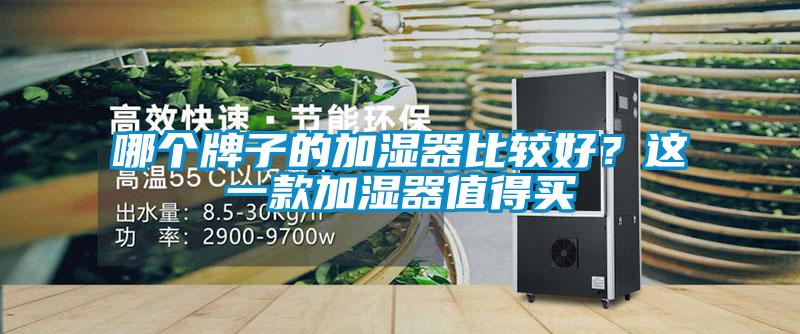 哪个牌子的加湿器比较好？这一款加湿器值得买