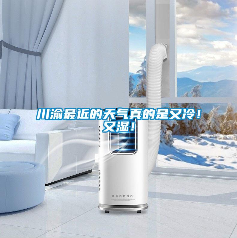 川渝最近的天气真的是又冷！又湿！