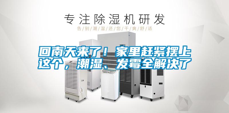 回南天来了！家里赶紧摆上这个，潮湿、发霉全解决了