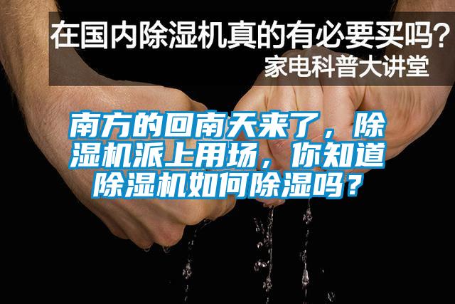 南方的回南天来了，除湿机派上用场，你知道除湿机如何除湿吗？