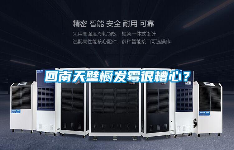 回南天壁橱发霉很糟心？