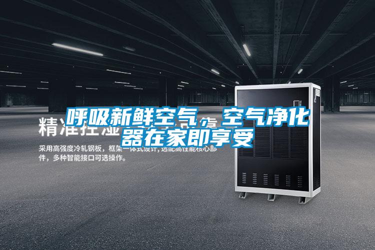 呼吸新鲜空气，空气净化器在家即享受