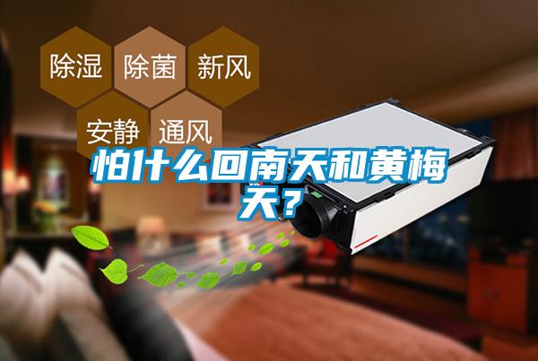 怕什么回南天和黄梅天？