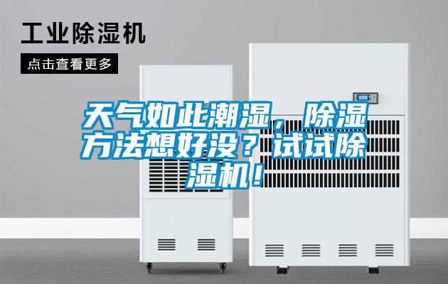天气如此潮湿，除湿方法想好没？试试除湿机！