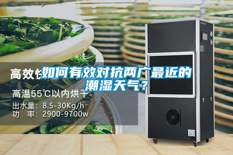 如何有效对抗两广最近的潮湿天气？