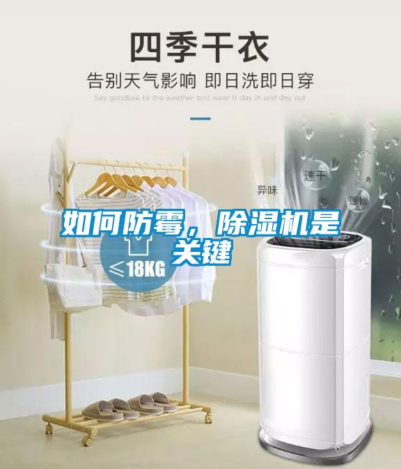 如何防霉，除湿机是关键