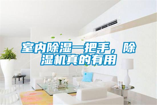 室內除濕一把手，除濕機真的有用