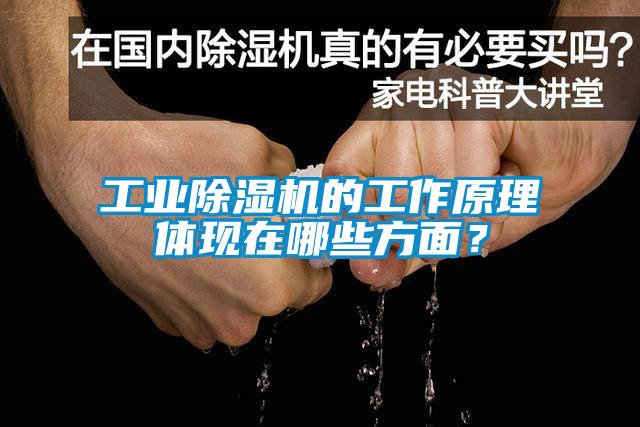 工業(yè)除濕機(jī)的工作原理體現(xiàn)在哪些方面？