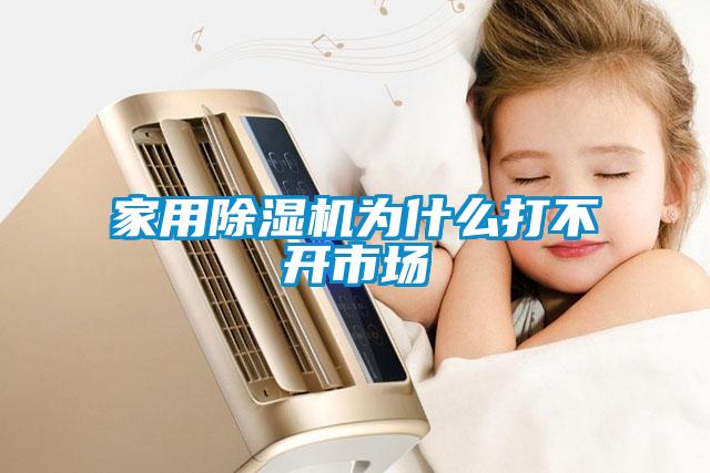家用除湿机为什么打不开市场