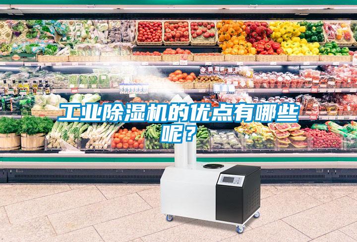 工业除湿机的优点有哪些呢？