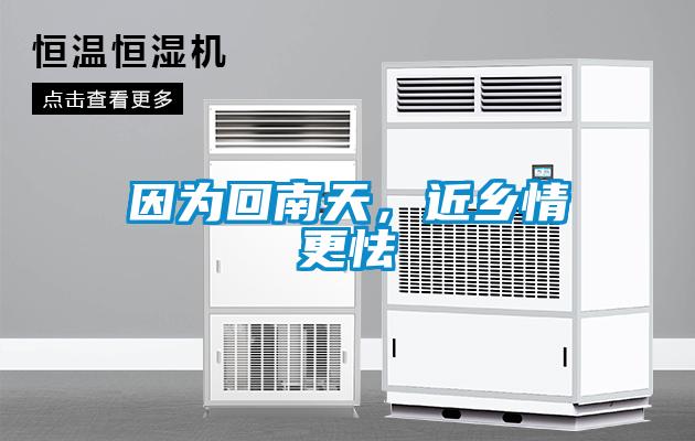 因为回南天，近乡情更怯