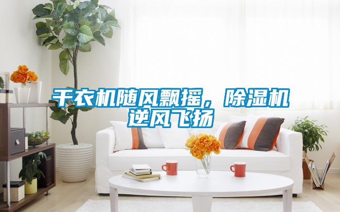 干衣機(jī)隨風(fēng)飄搖，除濕機(jī)逆風(fēng)飛揚(yáng)