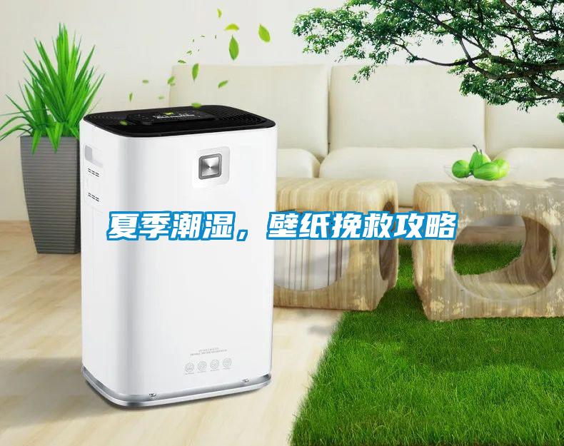 夏季潮湿，壁纸挽救攻略