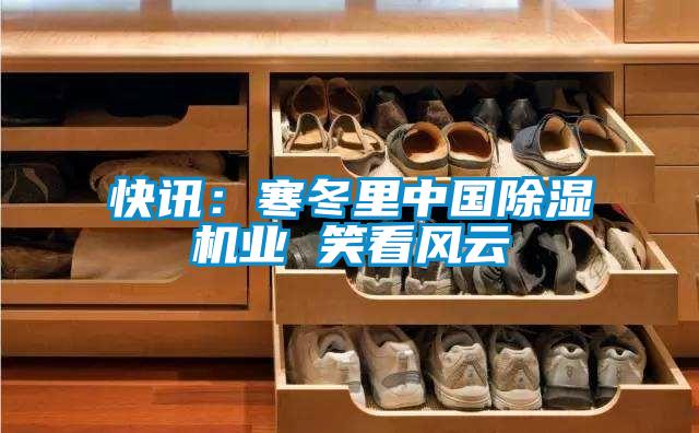 快讯：寒冬里中国除湿机业 笑看风云