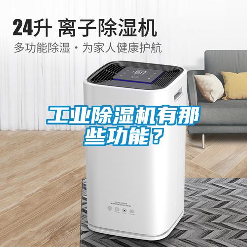 工业除湿机有那些功能？
