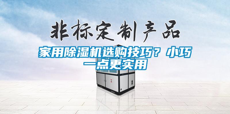 家用除湿机选购技巧？小巧一点更实用