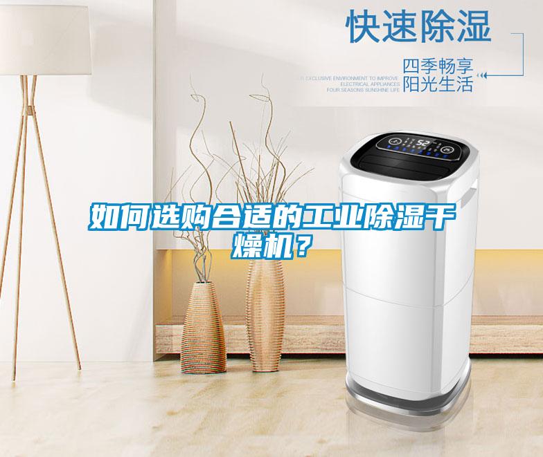 如何选购合适的工业除湿干燥机？