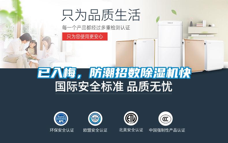 已入梅，防潮招數(shù)除濕機(jī)快