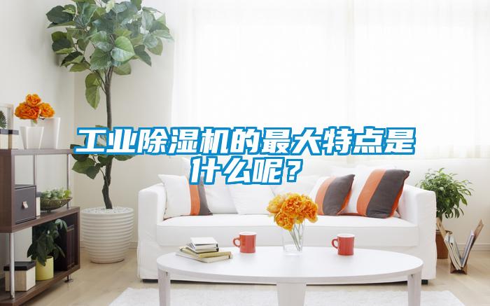 工业除湿机的最大特点是什么呢？