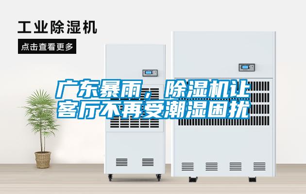 广东暴雨，除湿机让客厅不再受潮湿困扰