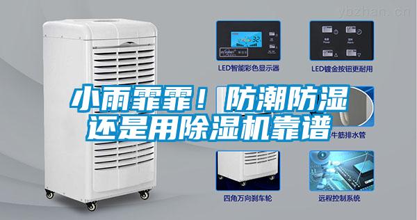 小雨霏霏！防潮防湿还是用除湿机靠谱
