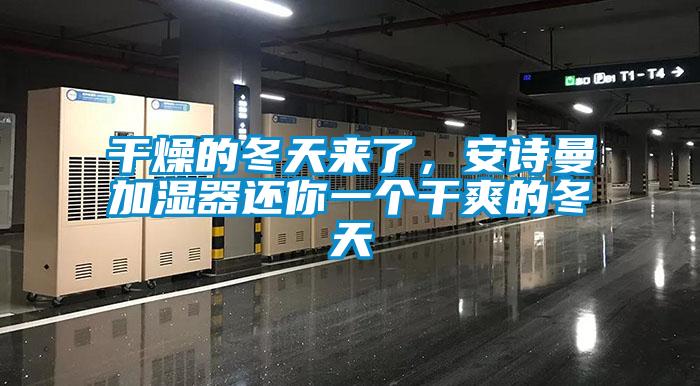 干燥的冬天来了，安诗曼加湿器还你一个干爽的冬天