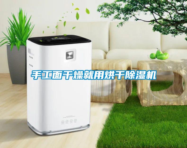 手工面干燥就用烘干除湿机