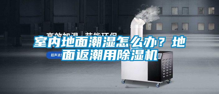 室內(nèi)地面潮濕怎么辦？地面返潮用除濕機(jī)