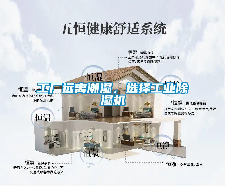 工厂远离潮湿，选择工业除湿机