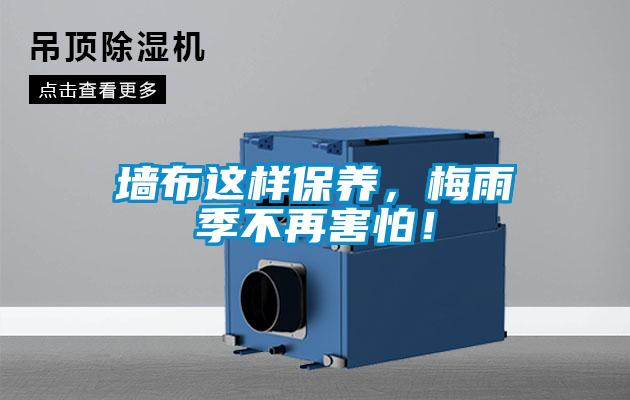 墙布这样保养，梅雨季不再害怕！