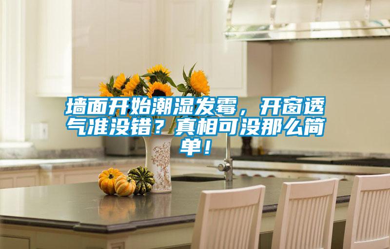 墙面开始潮湿发霉，开窗透气准没错？真相可没那么简单！