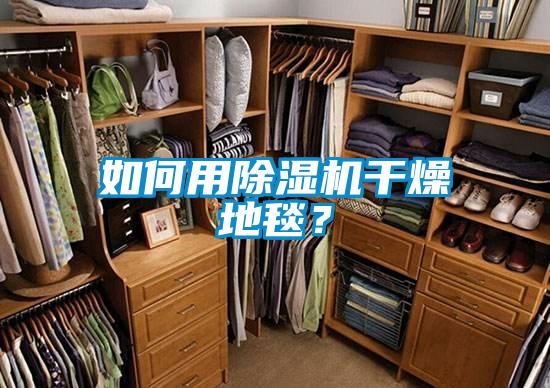 如何用除湿机干燥地毯？