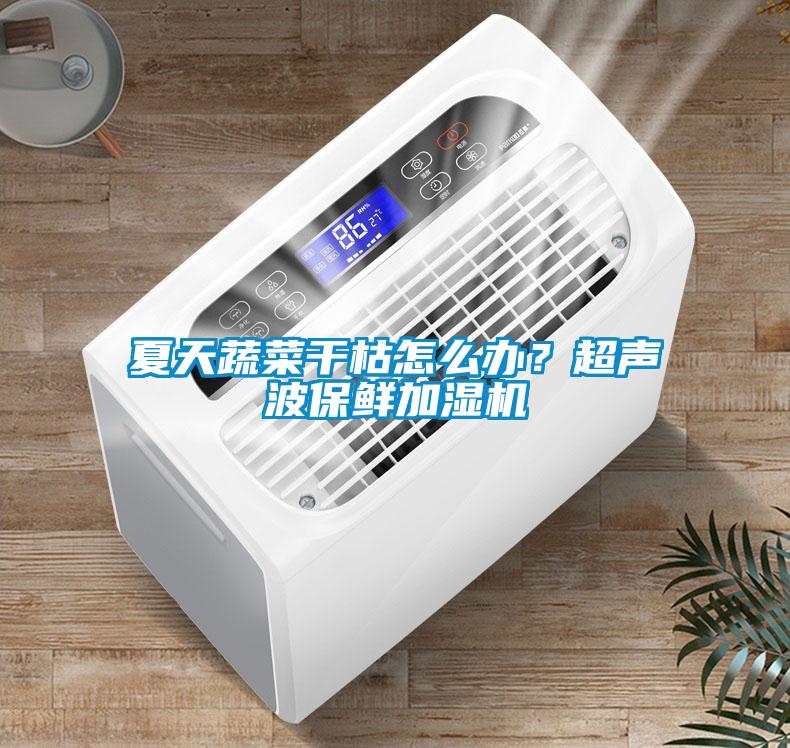 夏天蔬菜干枯怎么办？超声波保鲜加湿机
