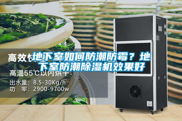 地下室如何防潮防霉？地下室防潮除湿机效果好