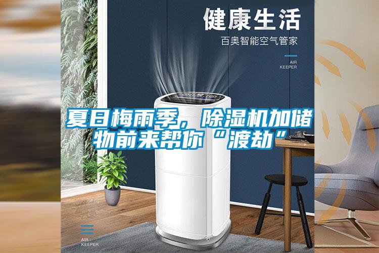 夏日梅雨季，除湿机加储物前来帮你“渡劫”